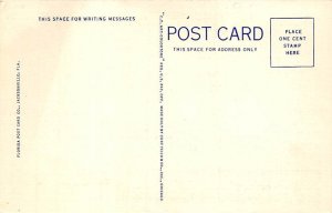 Thomas A Edison Bridge Fort Myers FL Postcard