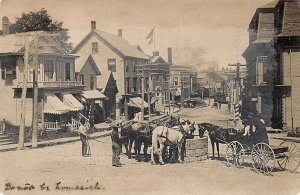 Machias ME Street View Horses Trough 1905 Real Photo Postcard