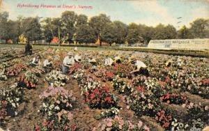 HENRY A DREER SEEDS PLANTS BULBS-PA ADVERTISING AGRICUTURAL-1910 PSMK POSTCARD