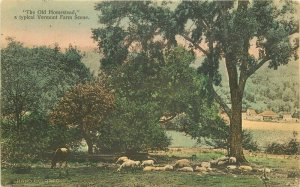 Vermont old Homestead Farm Scene hand colored #2379 1913 Postcard 22-189