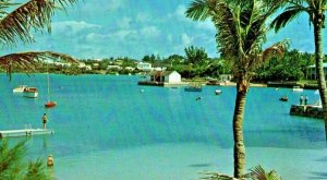 Vintage Postcard Lusterchrome Bermuda Cambridge Beaches Mangrove Bay Don Ceppi