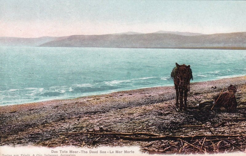 Das Tote Meer, Israel, 1900-1910s