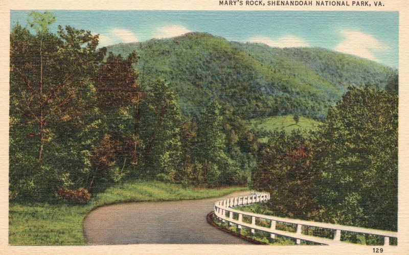 Vintage Postcard 1920's View of Mary's Rock Shenandoah National Park Virginia VA