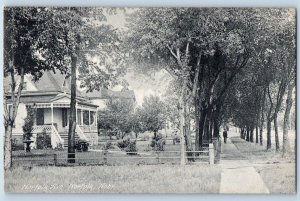 1910 Norfolk Nebraska NE Postcard Ave Scenic View Houses Sidewalk Trees Unposted