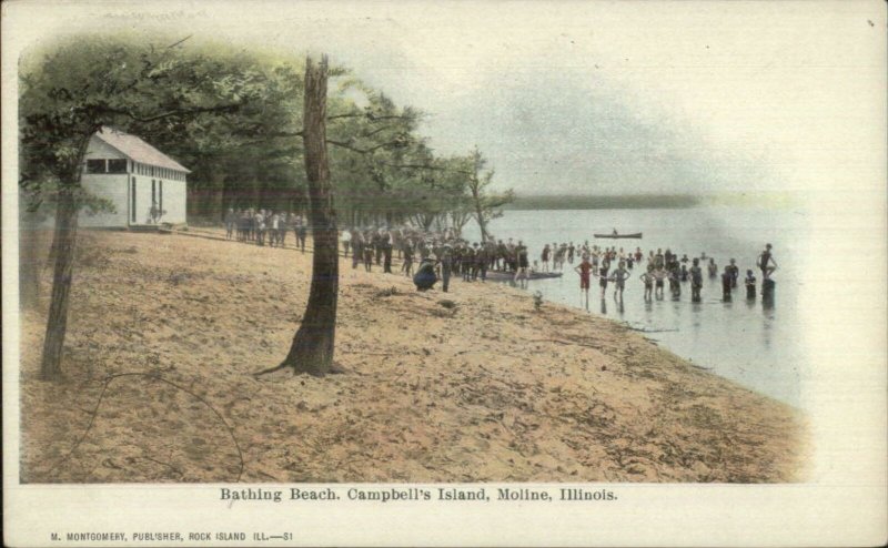 Moline IL Campbell's Island Beach c1905 Postcard