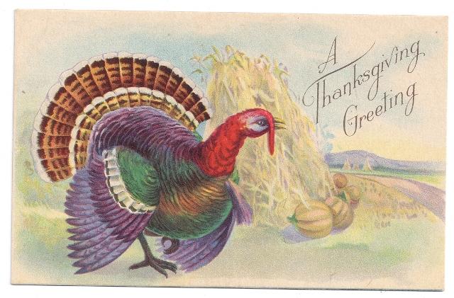 Turkey Haystack Thanksgiving Vintage Postcard Stecher Series 777 C Litho