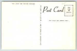 Cape Cod  Dock Boat Scene  Massachusetts   Postcard