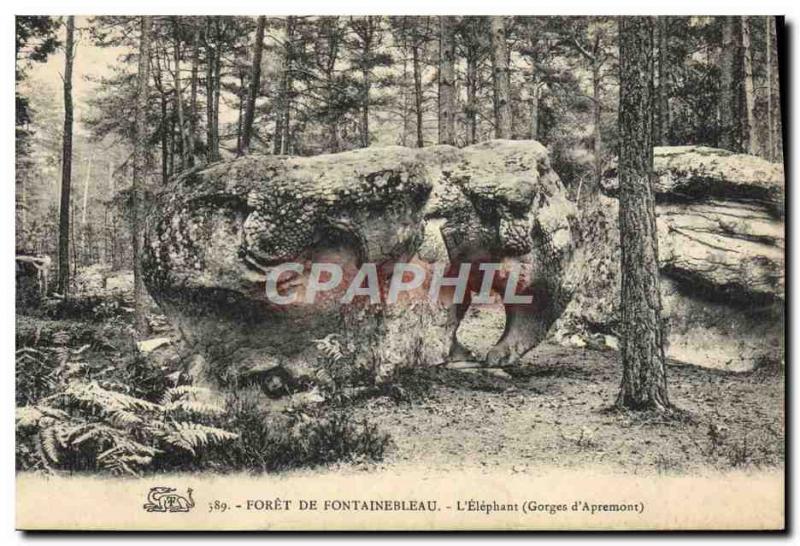 CPA Foret De Fontainebleau L'Elephant Gorges d'Apremont Elephant