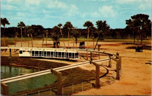 Skyrail Safari African Veldt train monorail Busch Gardens Florida Postcard