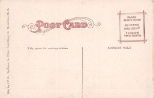 Hamilton Montana Bird's Eye View From Roof of Ravalli Hotel, Vintage PC U21362