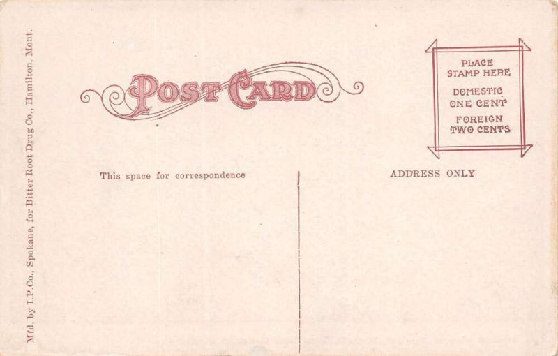 Hamilton Montana Bird's Eye View From Roof of Ravalli Hotel, Vintage PC U21362