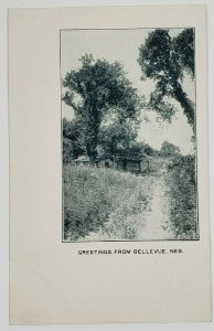 Greetings From Bellevue Nebraska Early udb Postcard L17