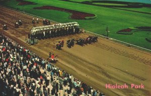 USA Hialeah Race Track Florida Chrome Postcard 04.05