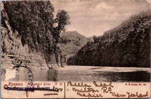 New Zealand Whanganui River Vintage Postcard C029