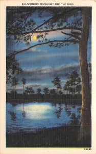 Southern Moonlight Amid the Pines Misc, North Carolina NC  