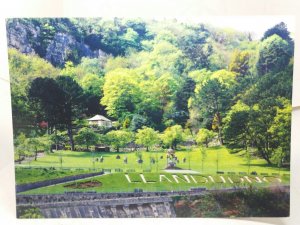 The Marine Hotel Llandudno Wales UK New Unused Vintage Postcard