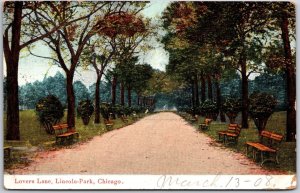 1908 Lovers Lane Lincoln Park Chicago Illinois IL Park Benches Posted Postcard