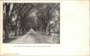 East Bridgewater Mass MA View Down the Common c1910 Vintage Postcard