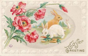 Easter Greetings - Flowers - Rabbits eating Carrots - J. Herman - DB