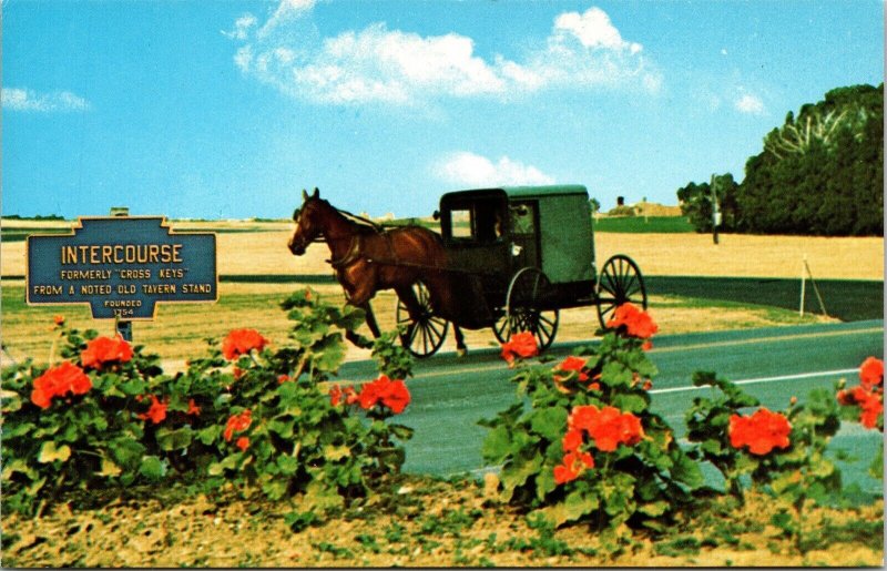 Greetings From Amish Country Horse Buggy Backseat Intercourse Sign Postcard VTG 