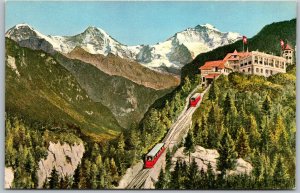Lake Thun Interlaken Switzerland 1950s Postcard Heimwehfluh Tram Cars