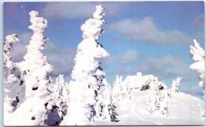 M-73110 The timbered ridges of Mount Spokane Washington