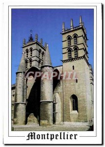 Postcard Modern Montpellier Herault Cathedrale Saint Pierre