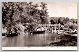 Rustic Bridge Illinois White Pines Forest State Park Postcard J42