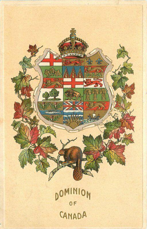 Canada Dominion Crest Shield Maple Leaf Beaver C-1910 Postcard 5713