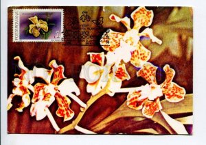 422218 ROMANIA 1990 year flowers orchid maximum card