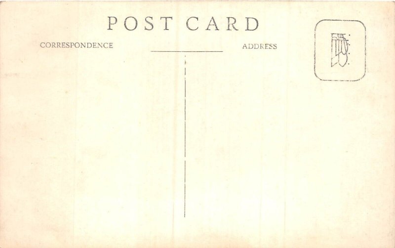 lot385 India Bull cow chariot types costume