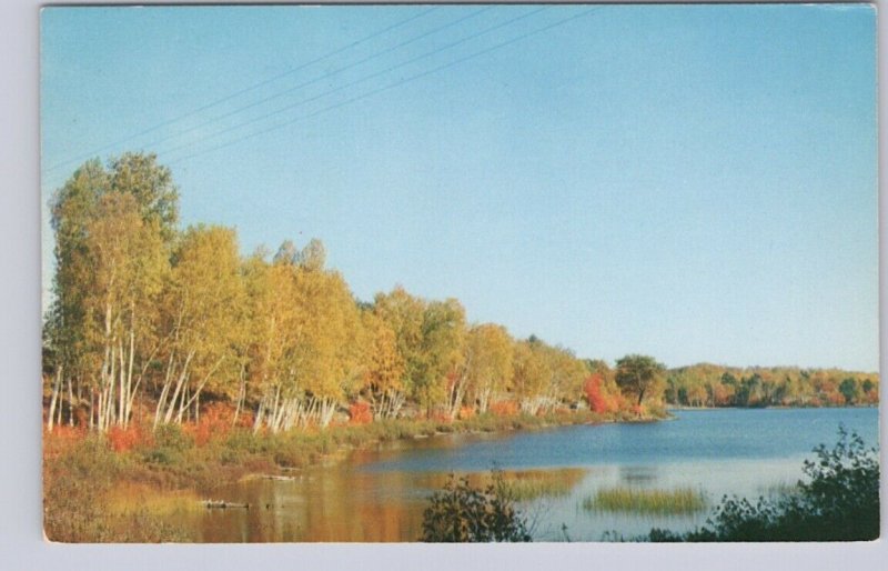 Fall Colours, Greetings From Parry Sound District, Ontario, Vintage Postcard