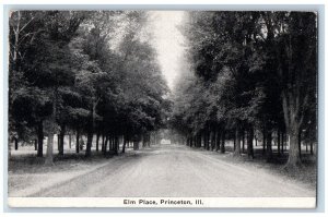 Princeton Illinois IL Postcard Elm Place Dirt Road Tree Lined c1910's Antique