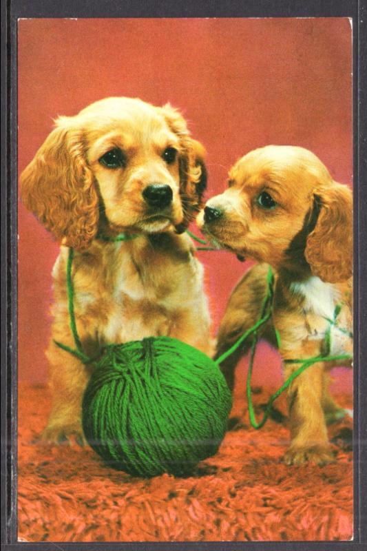 Two Puppies and a Ball of Yarn BIN