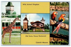 1968 Southern Home Of Anheuser-Busch Inc Tampa Florida FL Posted Animal Postcard 