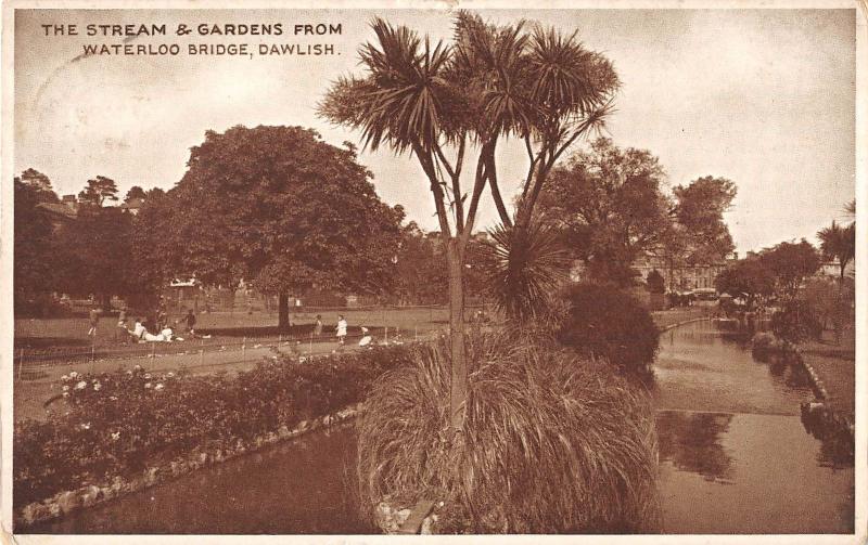 uk16895 stream and gardens from waterloo bridge dawlish real photo uk