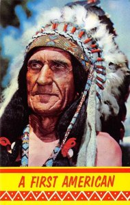 A FIRST AMERICAN Native American Indian c1950s Chrome Vintage Postcard