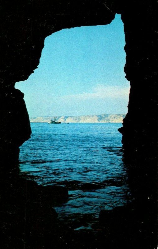 Vintage Sunny Jim Cave LA Jolla, CA Postcard F84