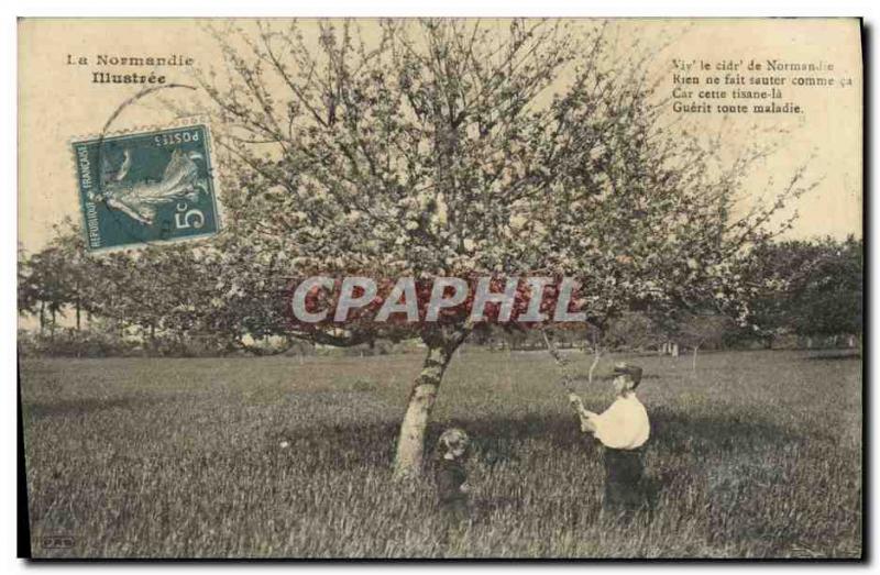 VINTAGE POSTCARD Normandy lllustree Peasant Apple tree Folkl