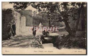 Old Postcard In an Oasis Algeria Seguia