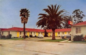 Santa Cruz California Park Ave Motel Apartments Vintage Postcard AA40438