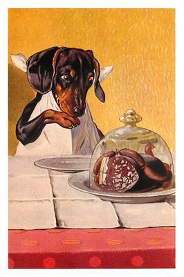 Dachshund Dog Looking at Sausage Meat ? Modern Postcard