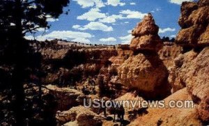 Saddle Horse Trail - Bryce Canyon National Park, Utah UT  