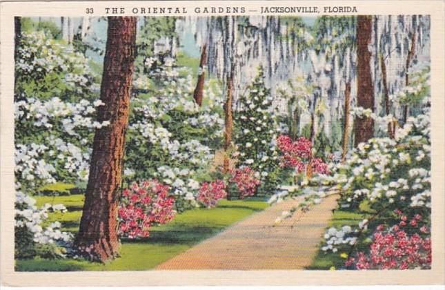 Florida Jacksonville The Oriental Gardens 1940 Curteich