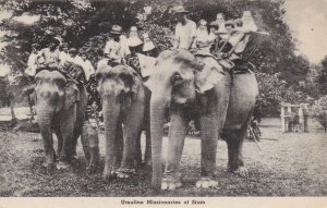 Siam Ursuline Missionaries Riding Elephants Albertype sk4402