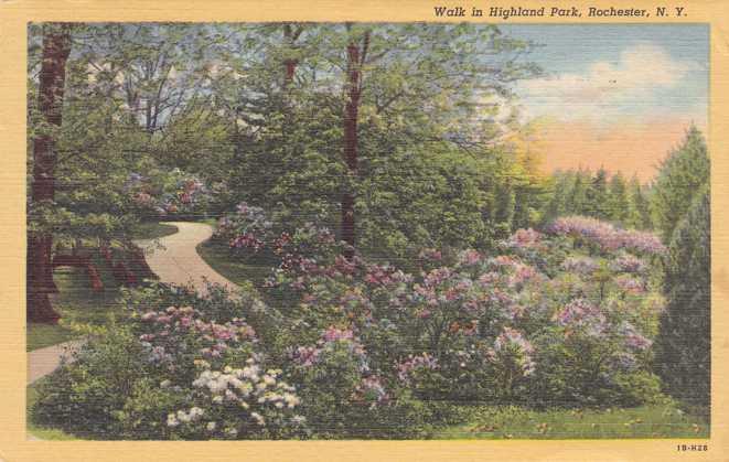 Flowery Walk - Highland Park, Rochester, New York - pm 1961 - Linen