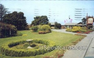 Ireland's Rustic Lodges - Gold Beach, Oregon OR Postcard