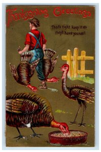 c1910's Thanksgiving Greetings Boy Cached Two Turkeys Funny Humor Postcard