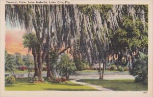Trees With Spanish Moss Tropical View Lake City Florida