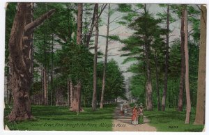 Abington, Mass, Island Grove, View through the Pines